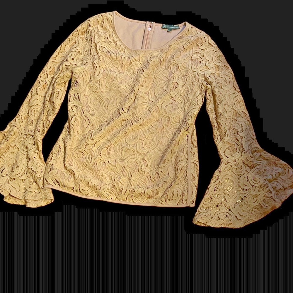 Adrianna Papell Lng Sleeve Pink Blouse Lace Overlay Bell Sleeves Sz Small T41-25